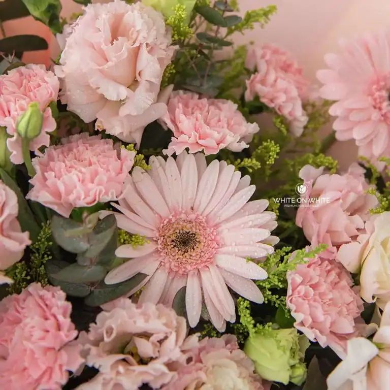 Carnation Mix Bouquet for graduates and retirees flower gift