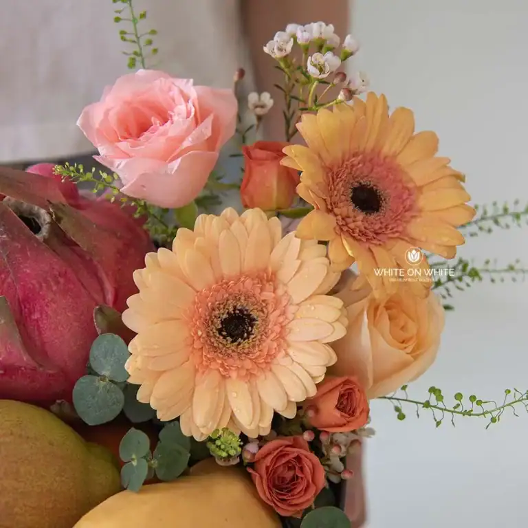 Fruitie Harvest box