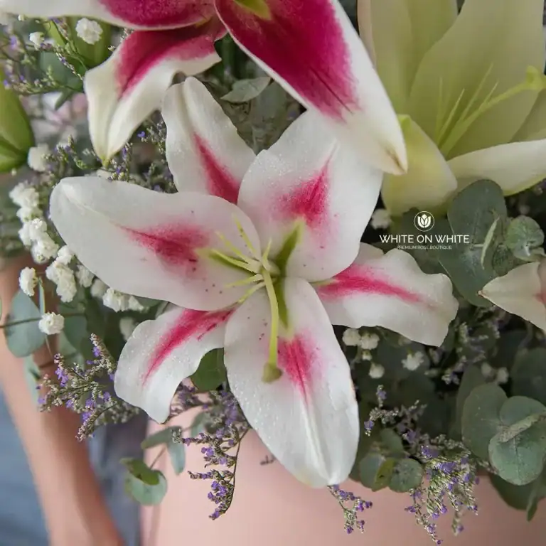 Lily Box