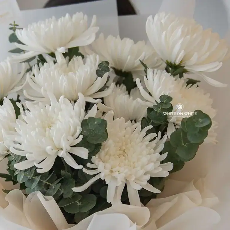 Purity of Heart for condolence and sympathy occasion