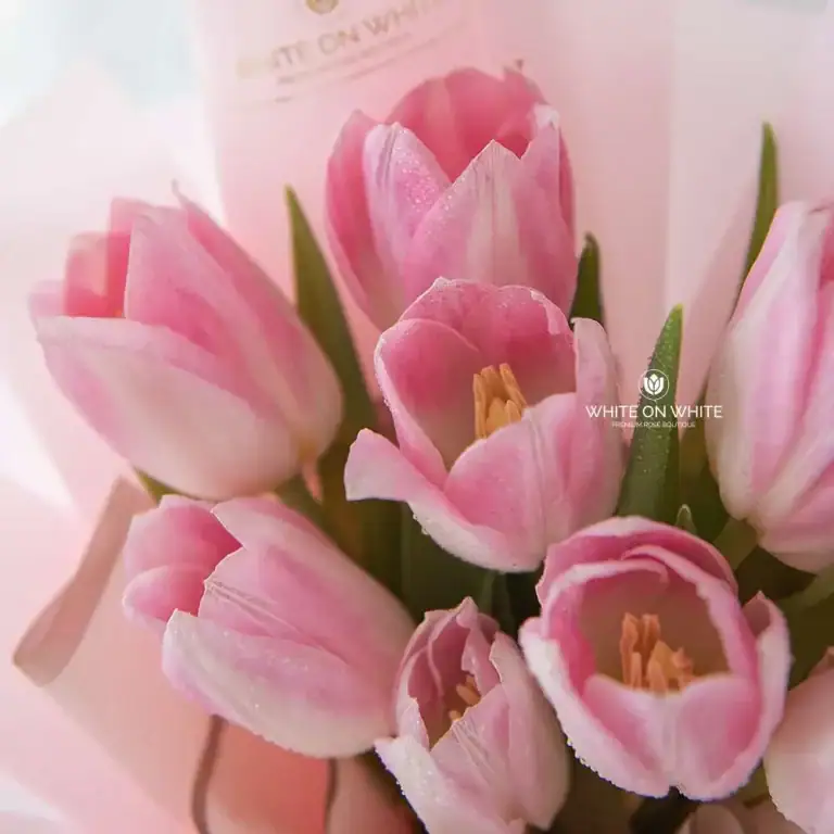 Pink tulips bouquet- tulip flower for Birthday & Friendship Occasion