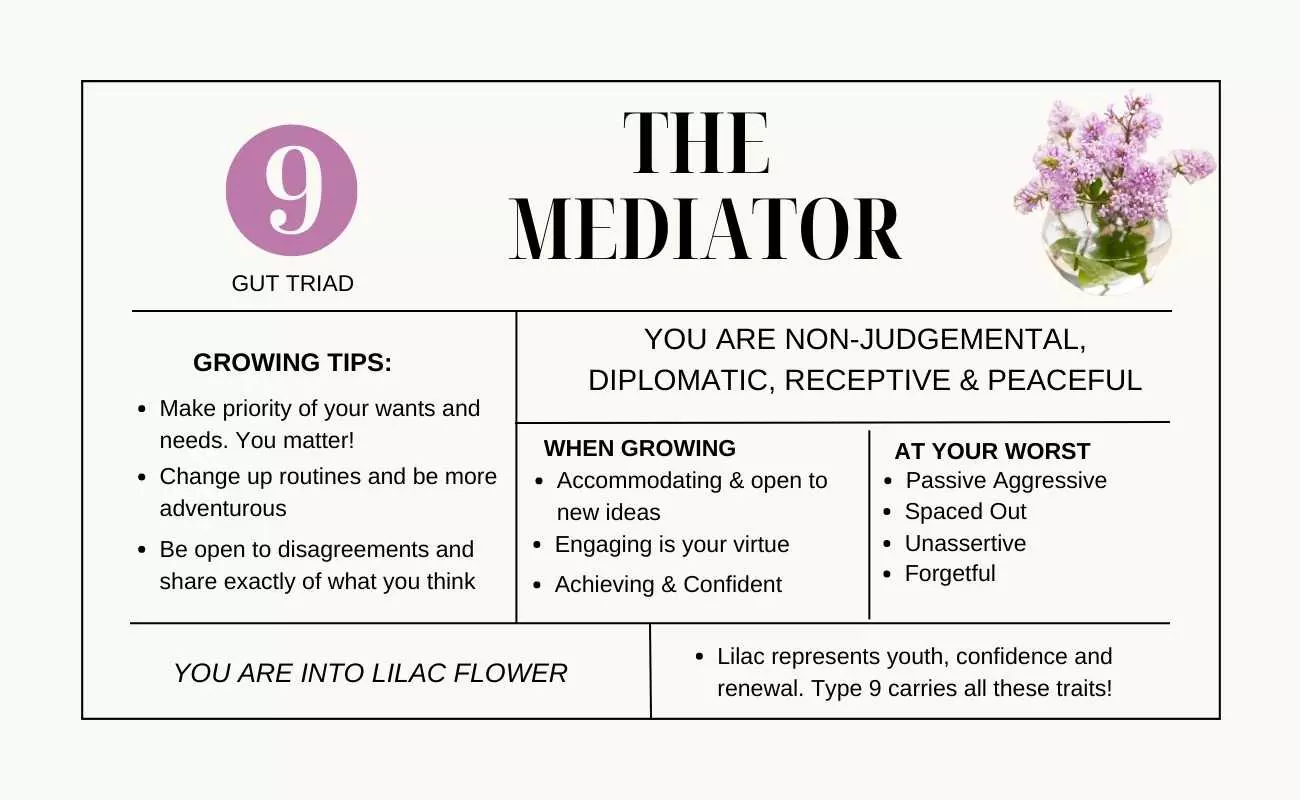 the mediator