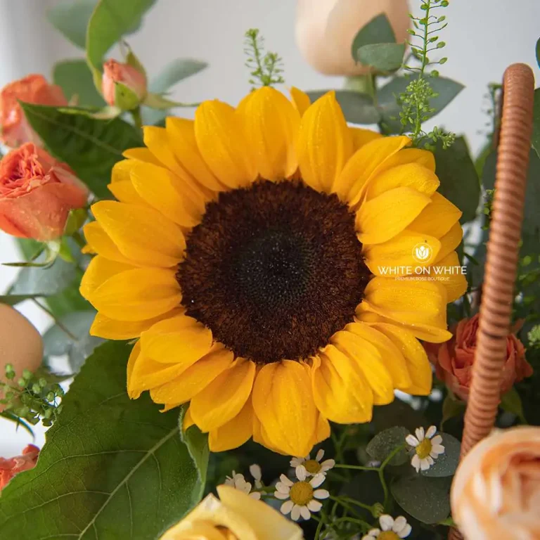 Sparkle Sunshine Basket | Grand Opening & Get Well Soon Gift