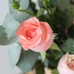 Pinkish Floral Basket for birthday, grand opening and retirement, flowers and fruit basket delivery