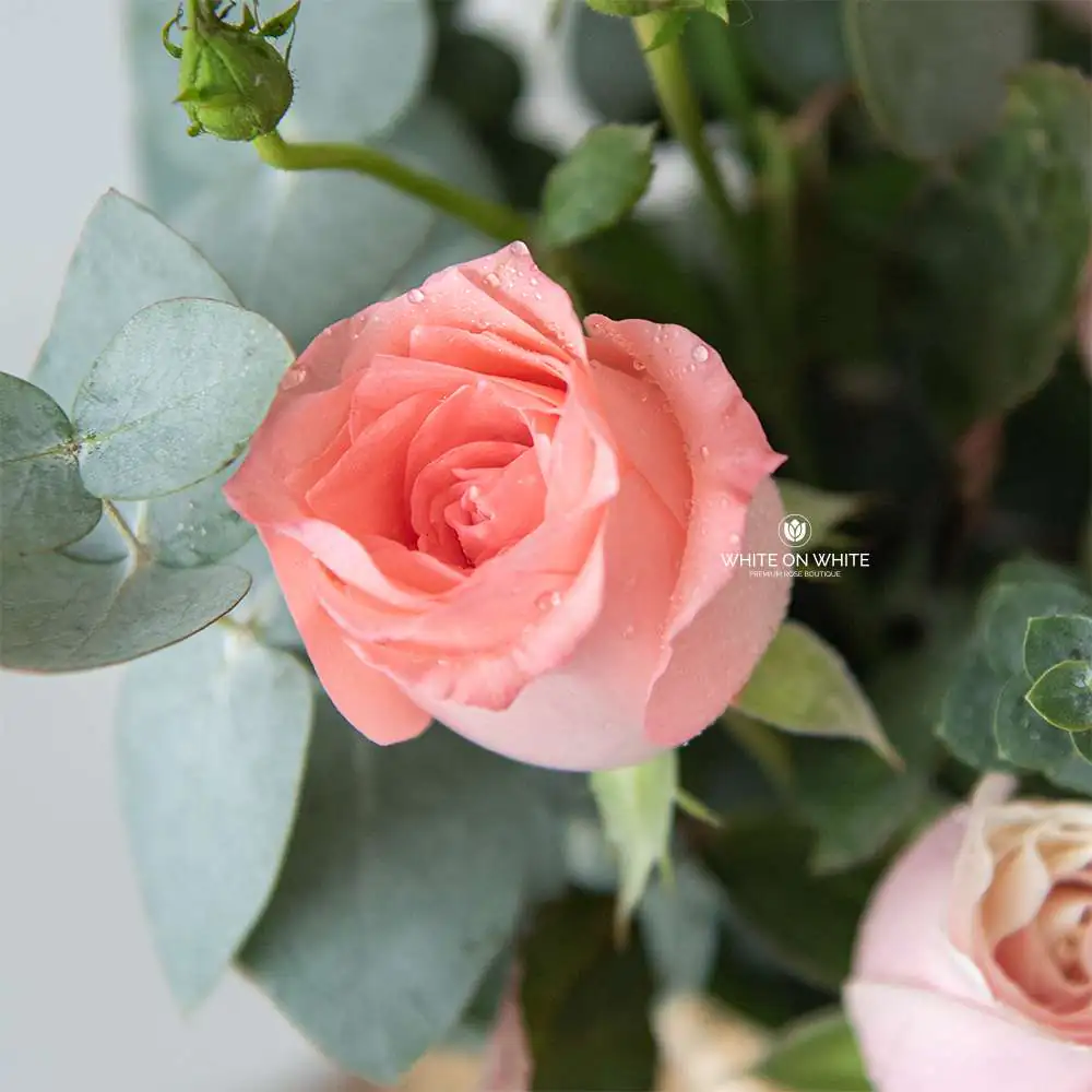Pinkish Floral Basket Pinkish Floral Basket for birthday, grand opening and retirement, flowers and fruit basket delivery