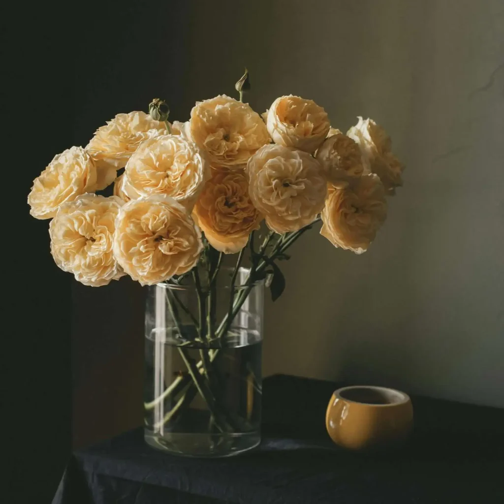 avoid direct sunlight or heat flowers