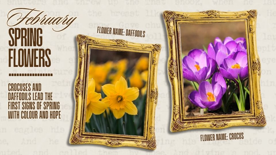 February flowers that bloom in Malaysia