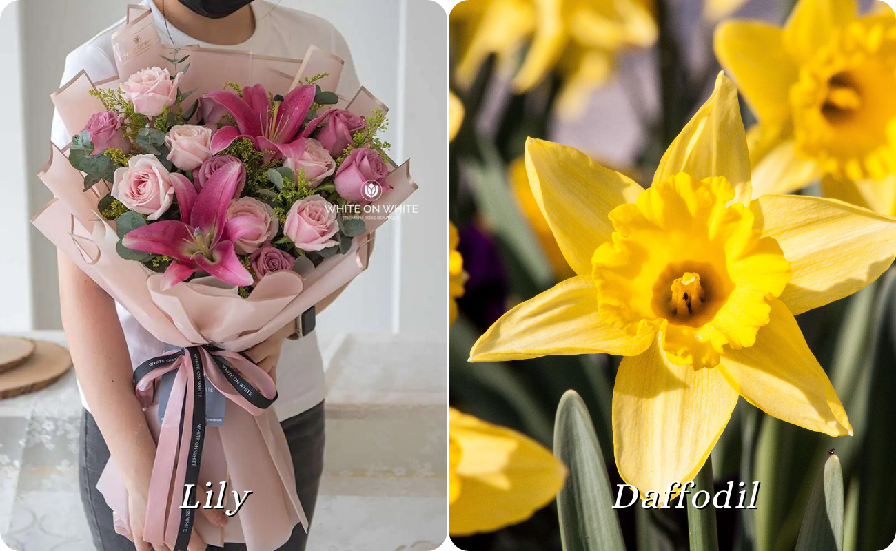 Flowers that bloom in April, seasonal flower