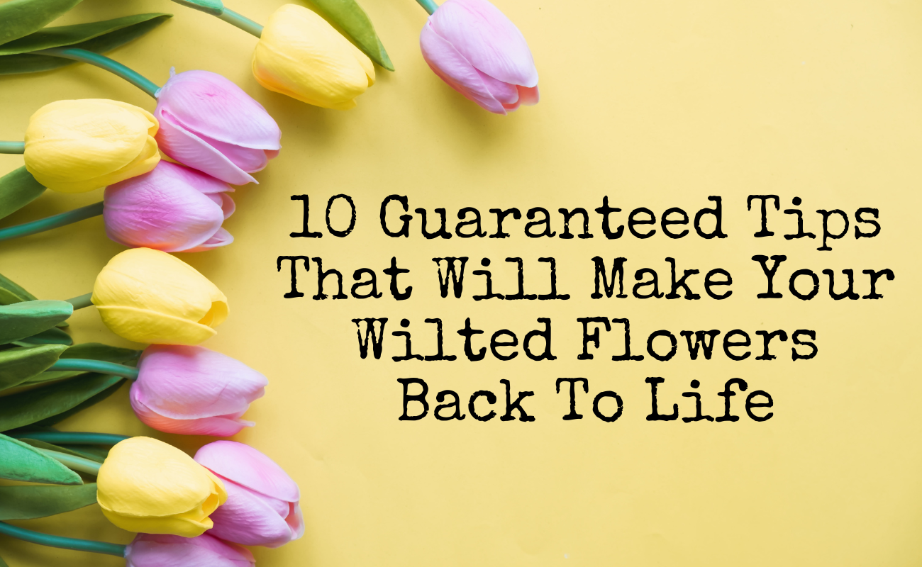 10 Guaranteed Tips That Will Make Your Wilted Flowers Back to Life