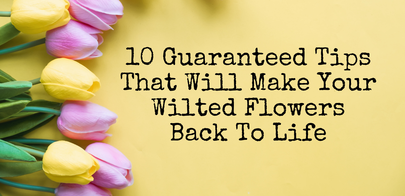 10 Guaranteed Tips That Will Make Your Wilted Flowers Back To Life