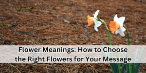 Flower Meanings