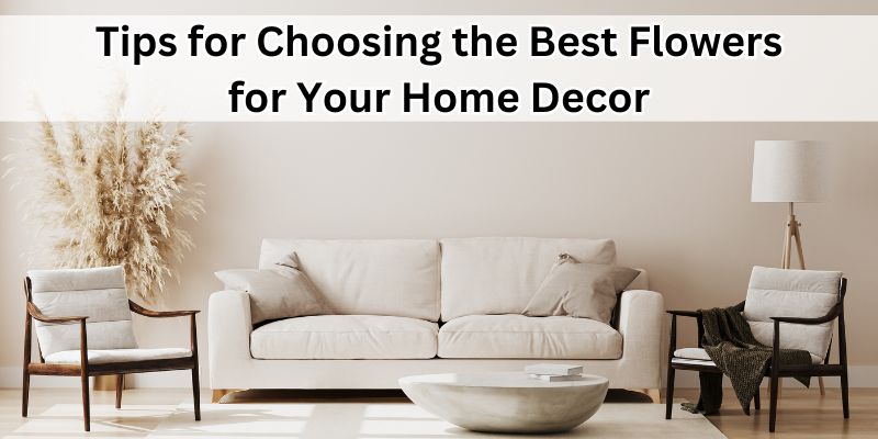 Home Decor