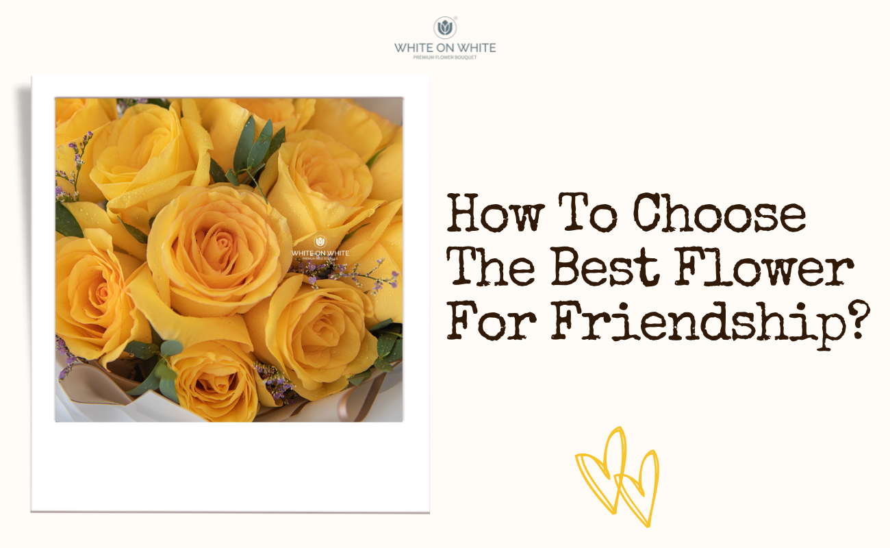 How To Choose The Best Flower For Friendship?