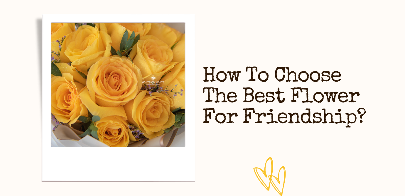 How To Choose The Best Flower For Friendship?