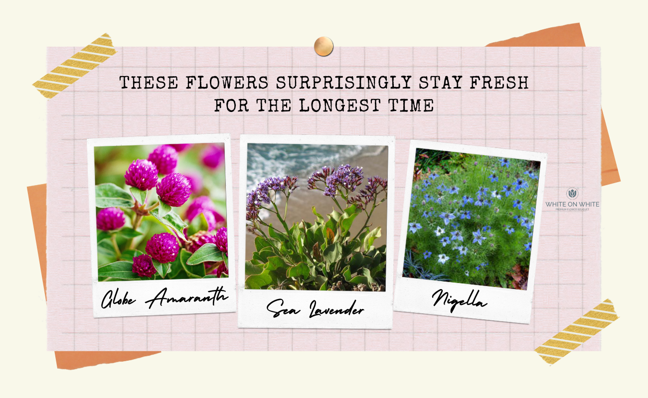 These Flowers Surprisingly Stay Fresh For The Longest Time