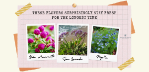 These Flowers Surprisingly Stay Fresh For The Longest Time