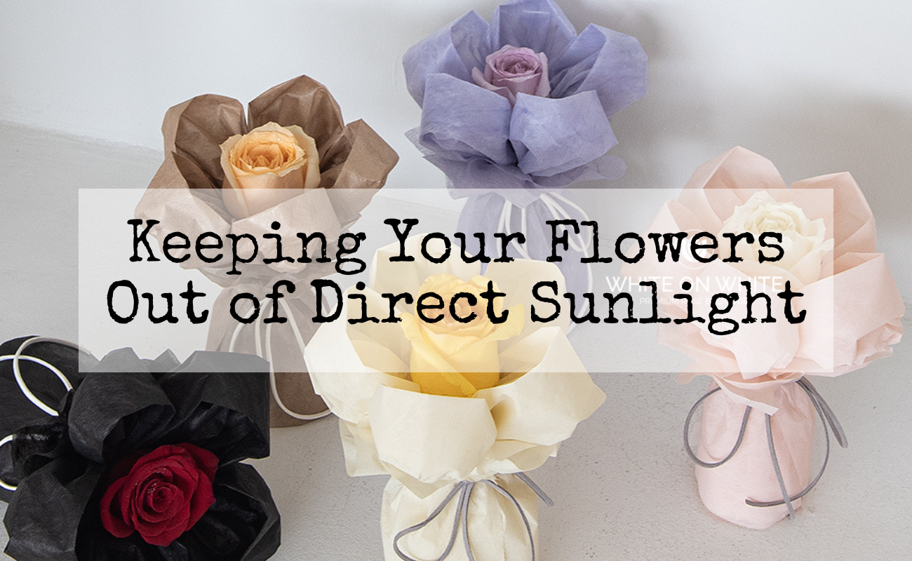 Keeping Your Flowers Out of Direct Sunlight, revive wilted flower back to life