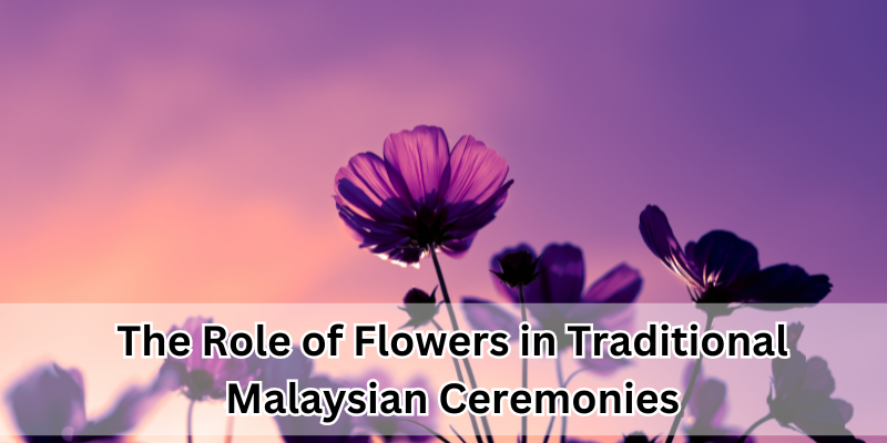 Role of Flowers