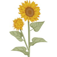 flower for friendship