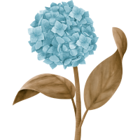 flower for friendship