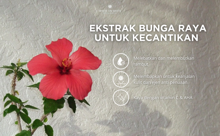 Ekstrak Bunga Raya dalam Kosmetik untuk Kecantikan, 7 Fakta Menarik tentang Bunga Raya, Bunga Kebangsaan Malaysia