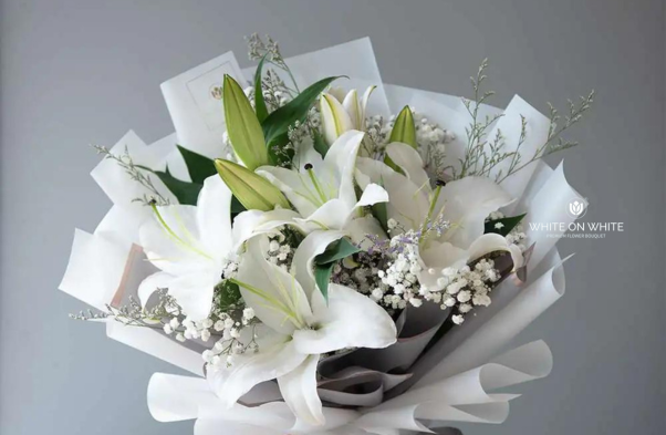 National Flower of Italy: White Lily, national flowers olympic country