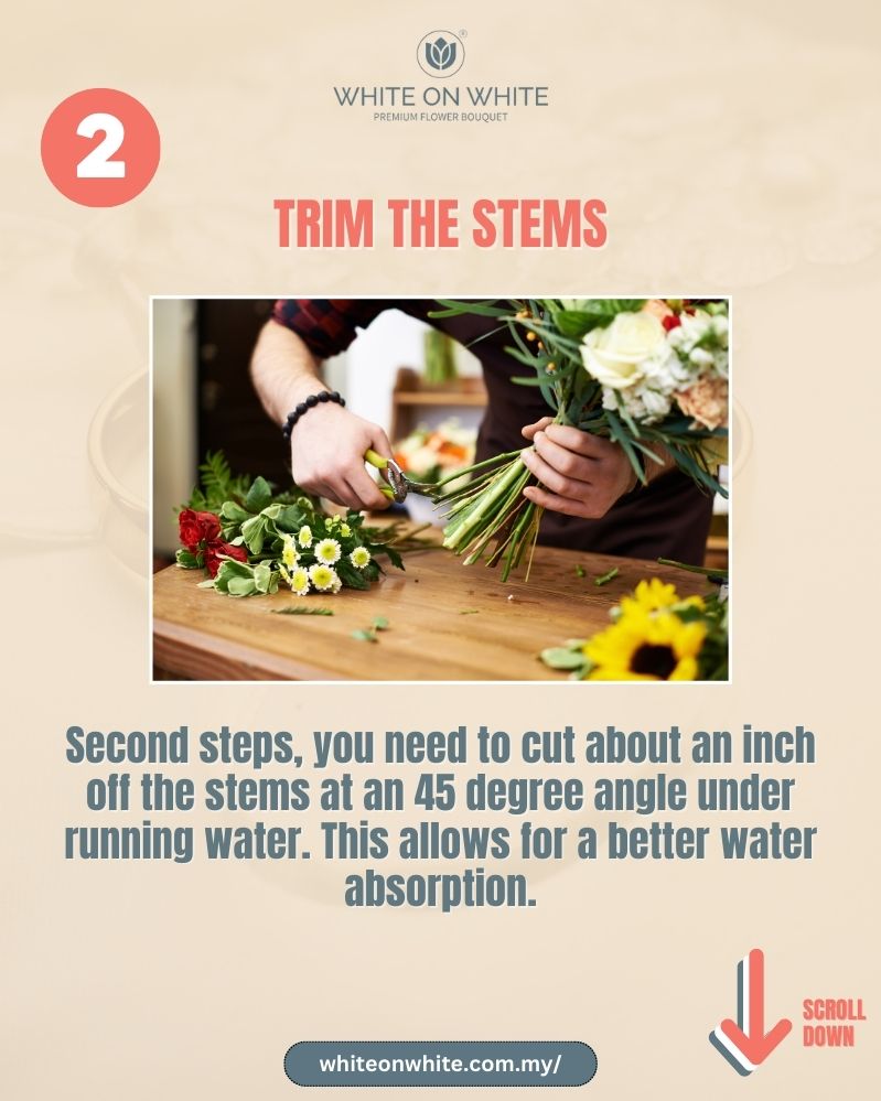 bridal bouquet care guide, bridal bouquet care tips