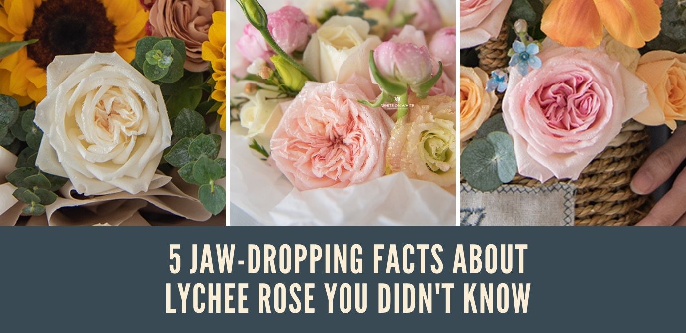 5 Jaw-dropping Facts About Lychee Rose You Didn't Know