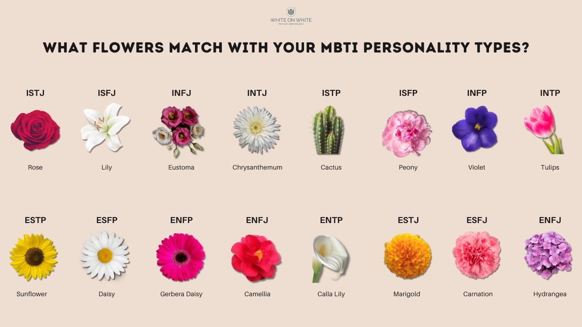 https://whiteonwhite.co/my/wp-content/uploads/2024/11/WHAT-FLOWERS-MATCH-WITH-YOUR-MBTI-PERSONALITY-TYPES.jpg