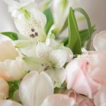 The one bridal bouquet
