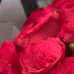 beautiful bouquet of roses