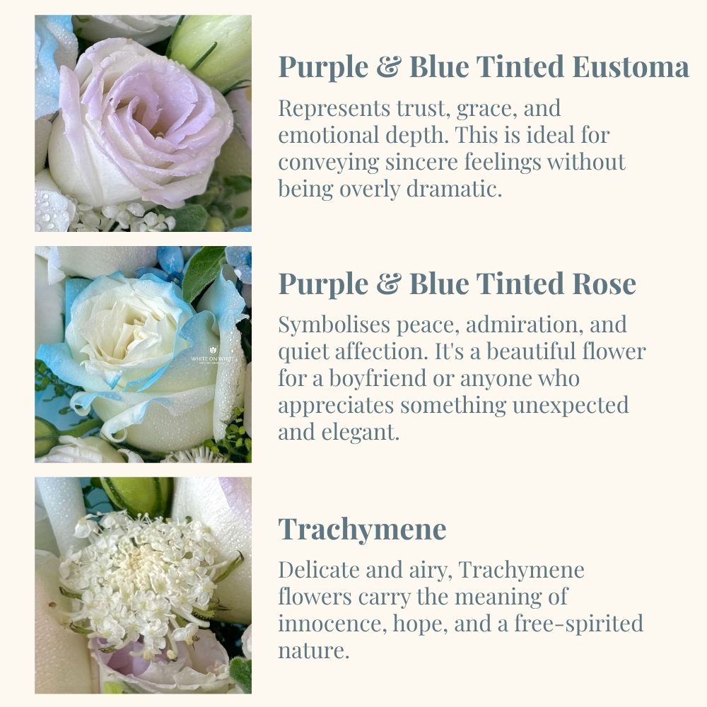 Purple and Blue Tinted Rose Meaning, Purple and Blue Tinted Eustoma Meaning, Trachymene Meaning