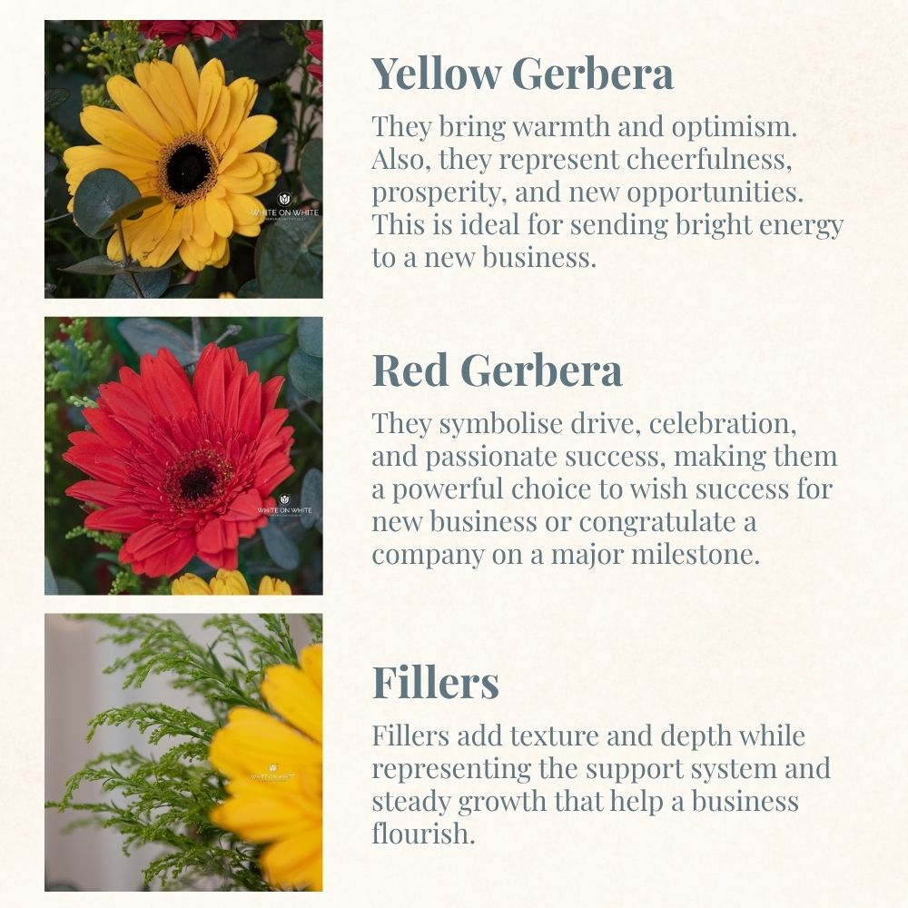 Red gerbera meaning, yellow gerbera meaning