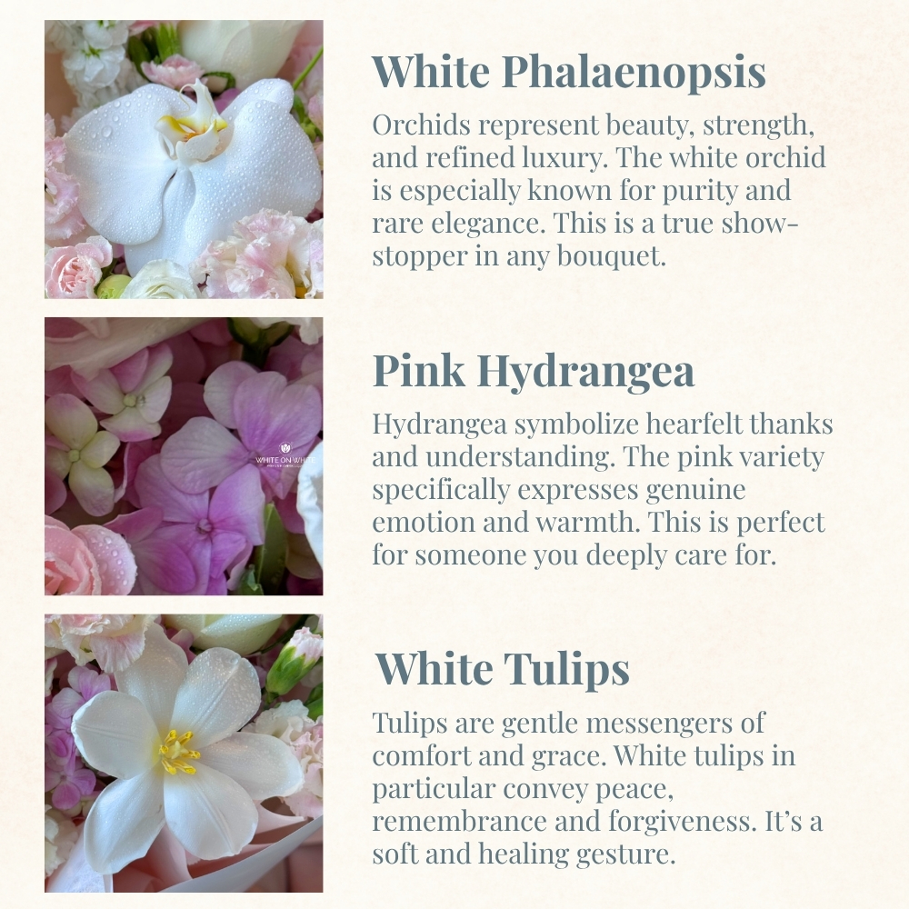 White phalaenopsis meaning, pink hydrangea meaning, white tulips meaning, flower meaning