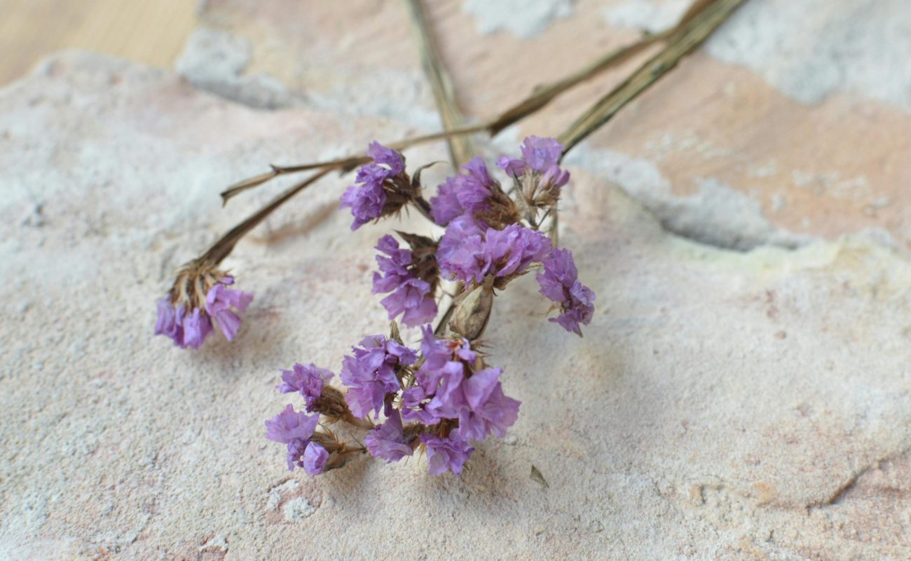 These Flowers Surprisingly Stay Fresh For The Longest Time