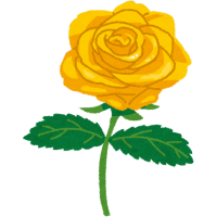 yellow rose flower for friendship