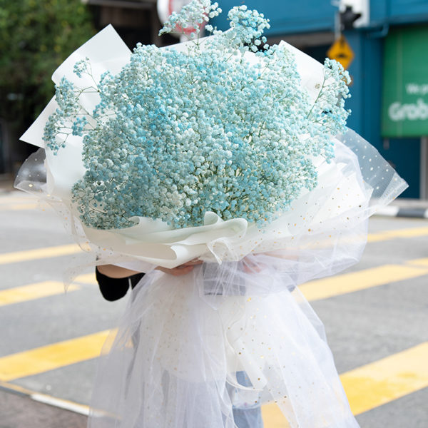 Elise's Bouquet - baby breath bouquet for Marriage Proposal