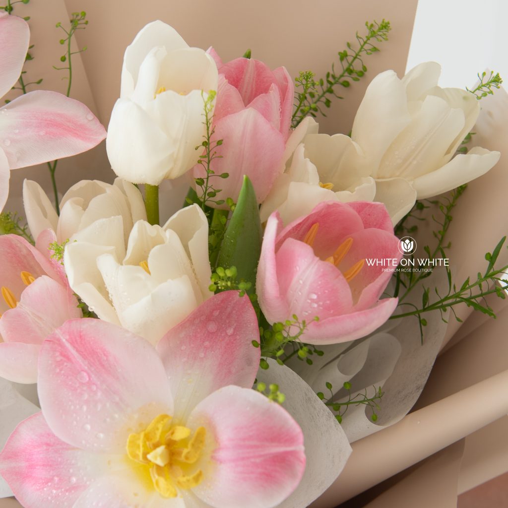 Graceful tulips