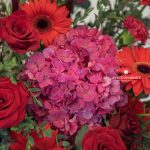 Heartiest Congratulations Opening Stand