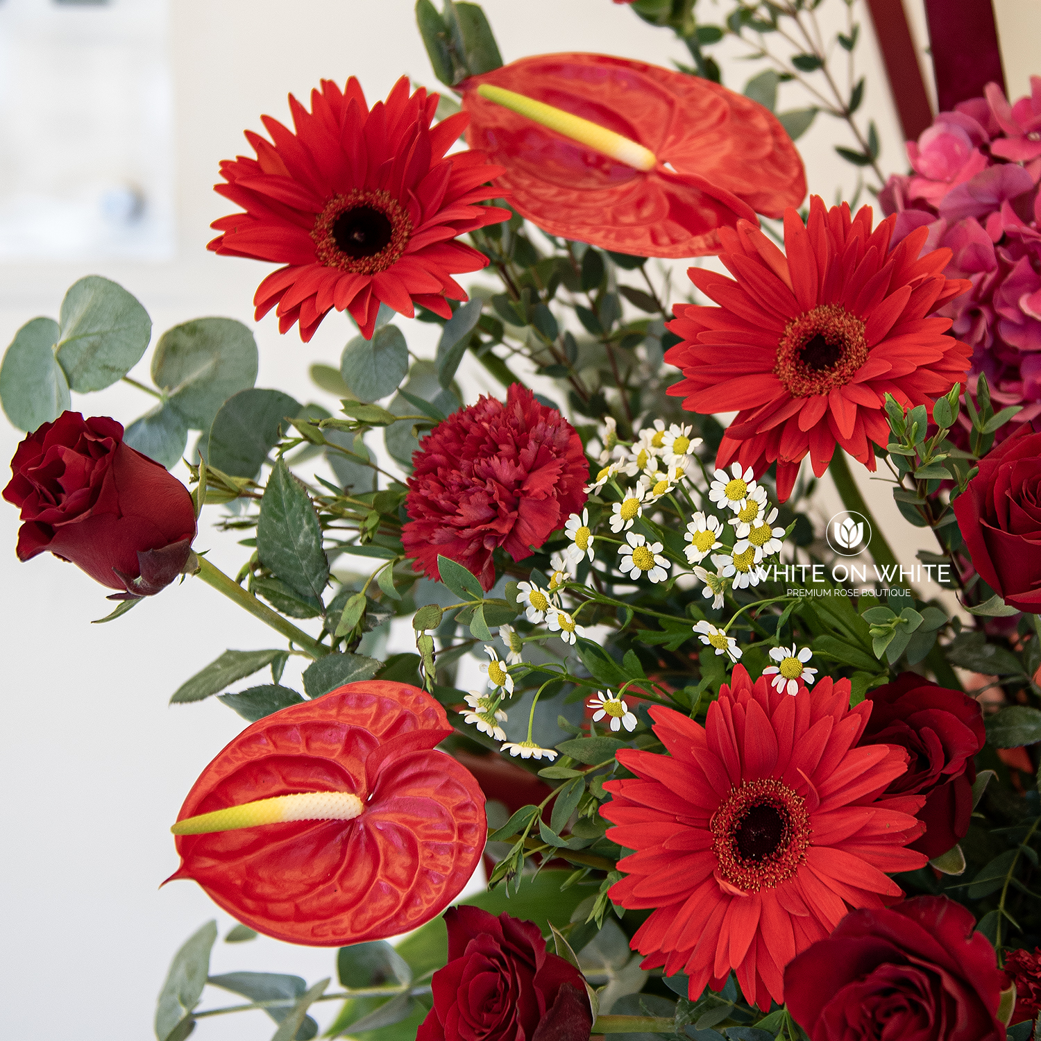 Heartiest Congratulations Heartiest Congratulations Opening Stand