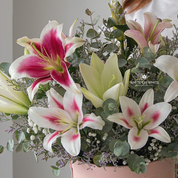 Lily Box