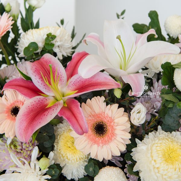 Memories condolence