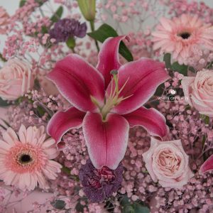 Pretty in Pink opening stand