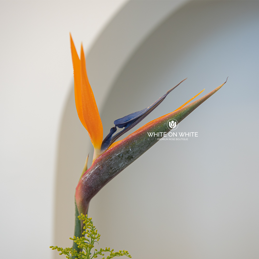 Auspicious Flower Stand | Congratulations & Business Opening