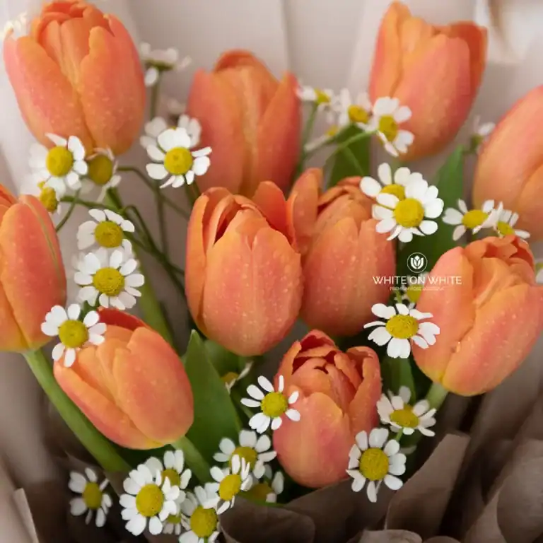 Pink tulips with white daisies for a modern bouquet, perfect for special occasions and same-day delivery in Singapore.