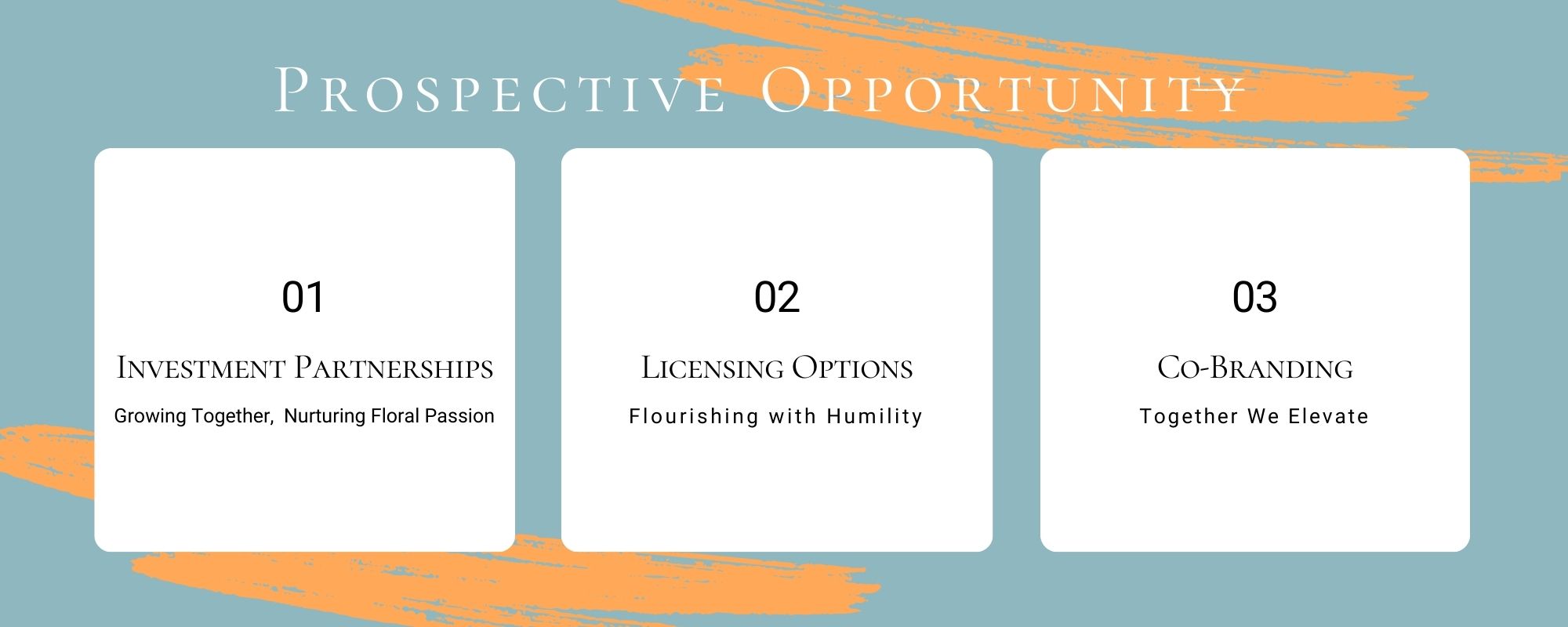 Business Opportunites, Licensing, Co-branding