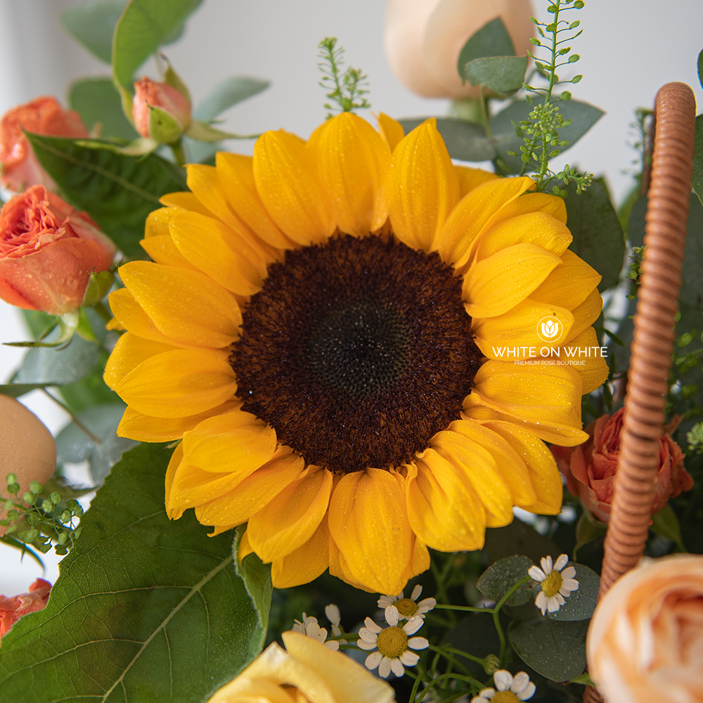 sparkle sunshine Sparkle Sunshine Basket | Grand Opening & Get Well Soon Gift