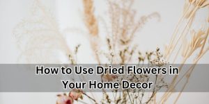 Dried Flowers