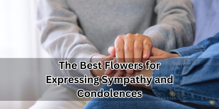Expressing Sympathy