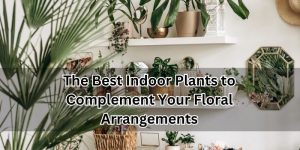 Indoor Plants